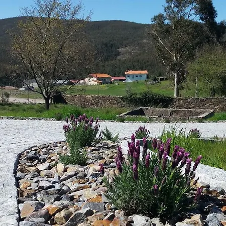 T3 Com Piscina E Jardim - Casula No Caramulo Villa Tondela Exterior photo