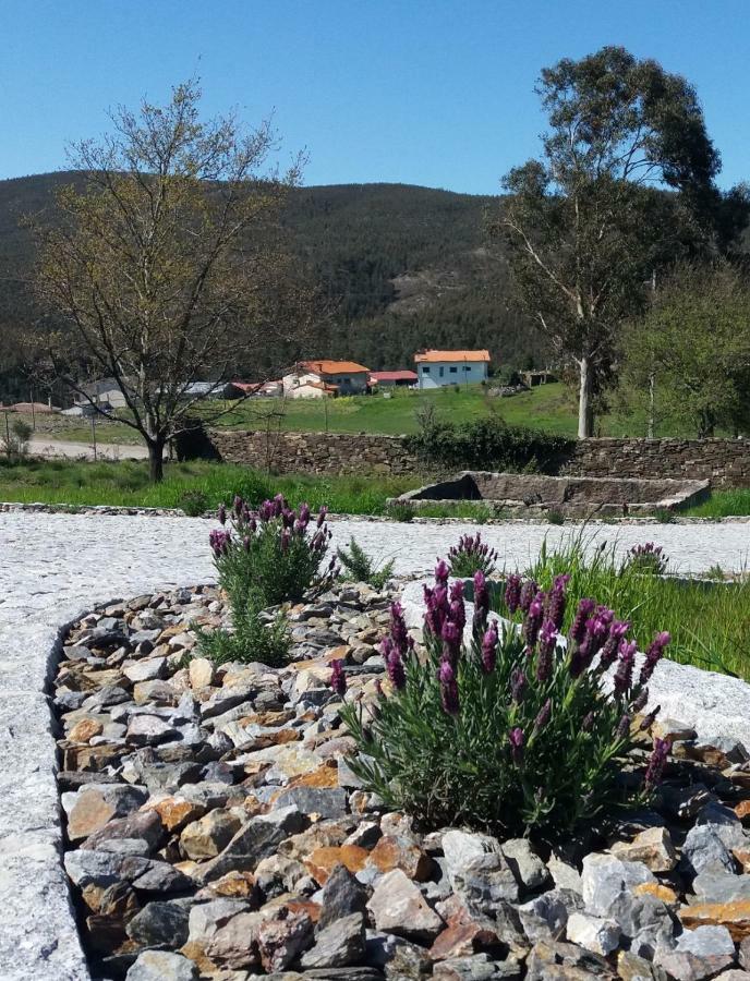 Holiday home T3 Com Piscina E Jardim - Casula No Caramulo Tondela